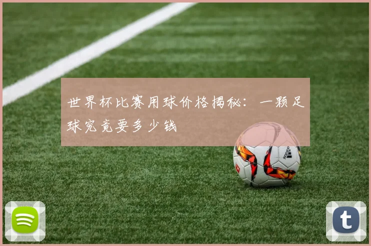 世界杯比赛用球价格揭秘：一颗足球究竟要多少钱
